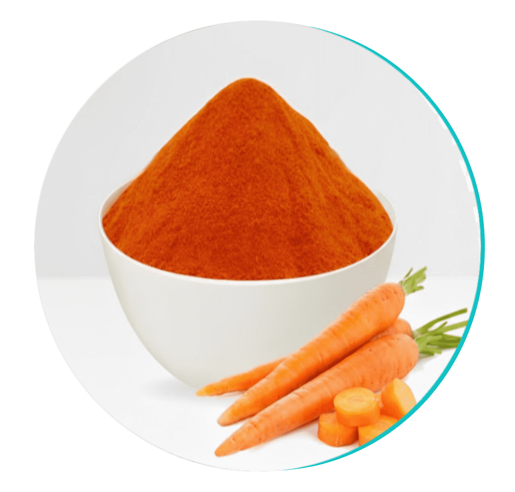 Carrot Powder Ingredient